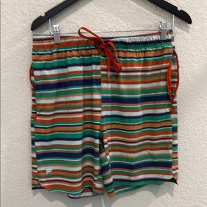 Fablatics Striped Multicolor Swim Shorts size XL Boys